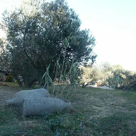 Studio Jezera 798c Apartment Tisno